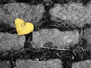 Wholehearted Leadership For Employee Engagement #TChat Recap