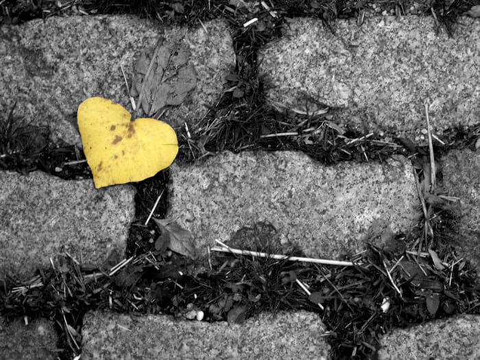 Wholehearted Leadership For Employee Engagement #TChat Recap