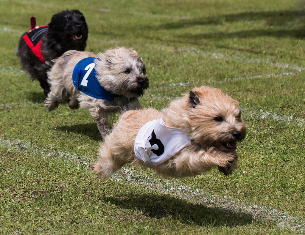 move beyond competition