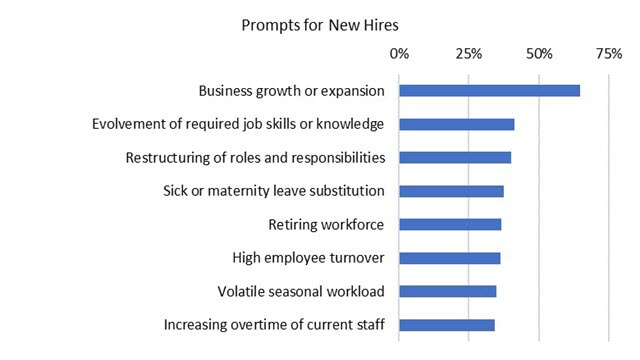 Prompts for New Hires