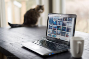 The Three C’s of Building a Connected Workspace