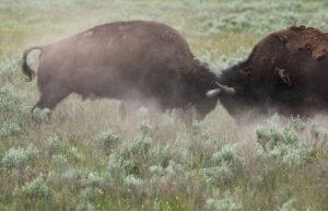 How to Move People Past an ‘Us Versus Them’ Mindset at Work