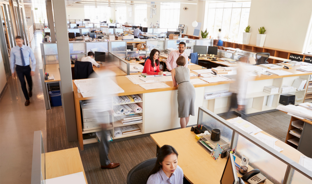 employee absenteeism