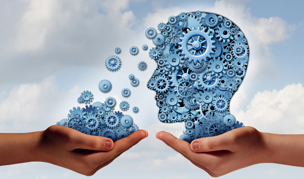 developing a training program with better ROI