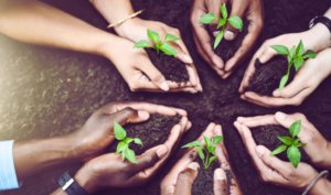 Employee Ownership How Does it Life Company Culture - TalentCulture